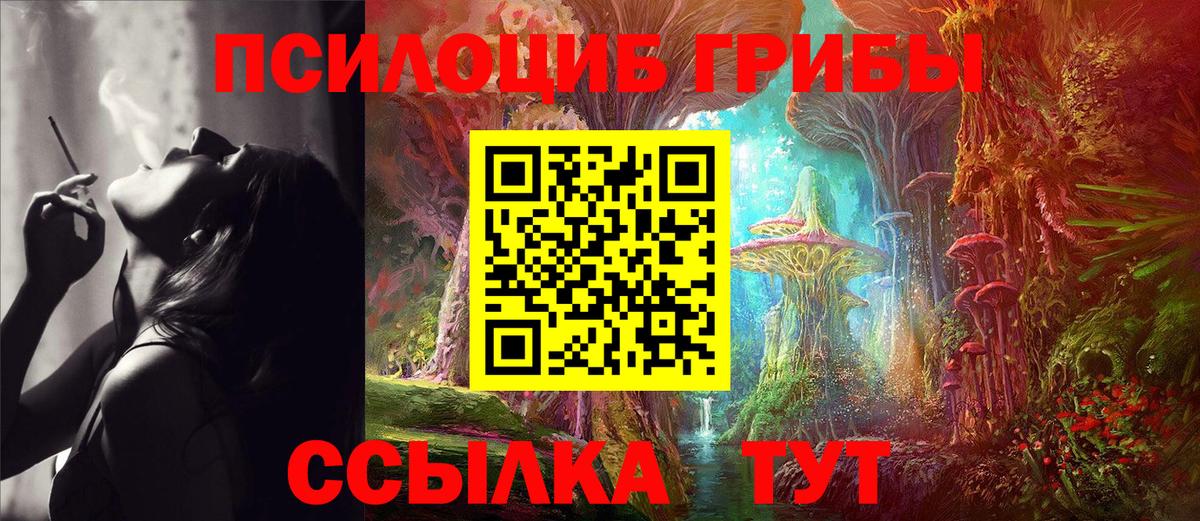 Галлюциногенные грибы Psilocybe  Вход с VPN  Псилоцибиновые грибы мицелий  Кропоткин 