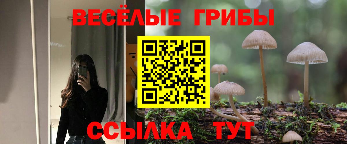 Псилоцибиновые грибы прущие грибы Кропоткин